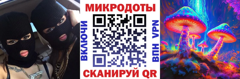 Галлюциногенные грибы мицелий  Приморск 