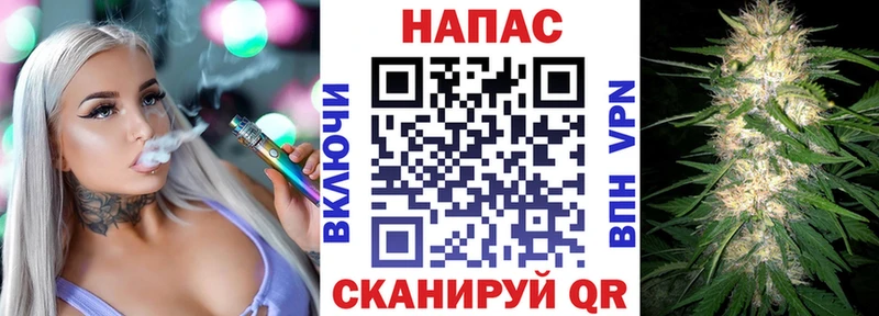 МЕГА онион  Приморск  Шишки марихуана семена 